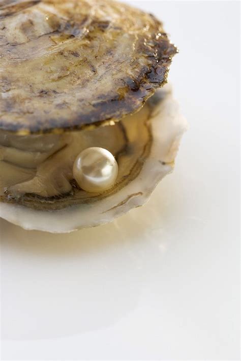 Pin on ethereality | Oysters, Oyster pearl, Pearls