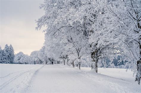 Free Piled Snow Snow Images Pixabay