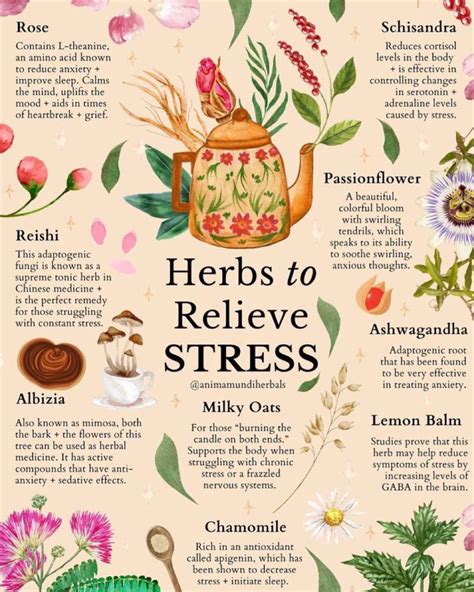 Hibiscus Health Benefits Infographic Artofit