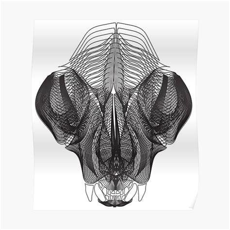 "Cat Skull "x-ray"" Poster by bloodsweatbeer | Redbubble