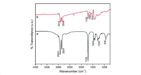 Ftir Spectra Of A Pure Oleic Acid And B Oleic Acid Coated Magnetite