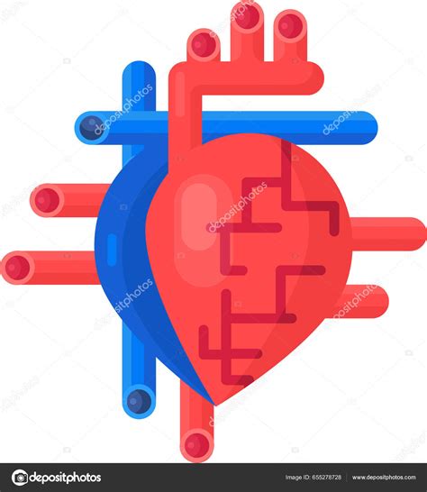 Herzorgan Mit Arterien Und Gef En Skizzenhafte Lineare