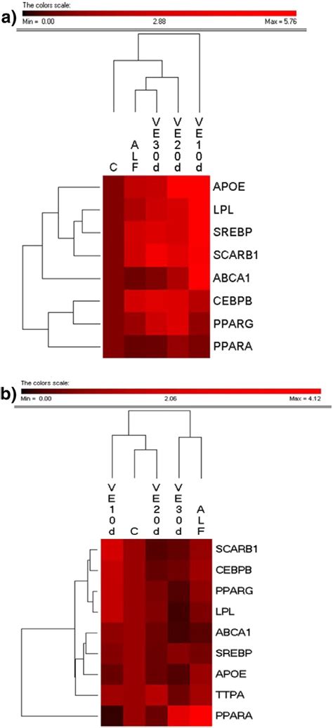 The Hierarchical Cluster Analysis Euclidean Distance Clustering Download Scientific Diagram