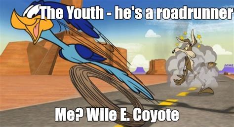 Meme The Youth He S A Roadrunner Me Wile E Coyote All