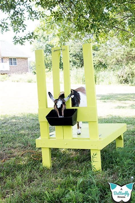 Diy goat milking stand with printable plans – Artofit