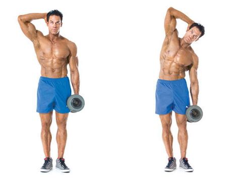 Standing Side Bend Exercise Bodybuilding Wizard Side Bends Exercise