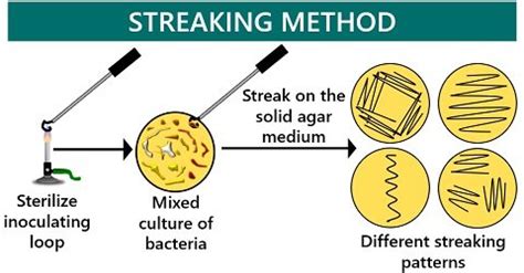 Quadrant Streaking Method Meaning Principle Diagram Procedure