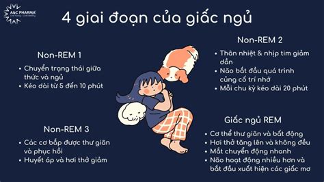 Rem Trong Giấc Ngủ Là Gì Tìm Hiểu Chi Tiết Và Cách Cải Thiện