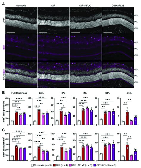 Immunofluorescent Labeling And Quantification Of Iba1 Cells In