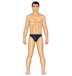Naked Standing Man Royalty Free Vector Image VectorStock