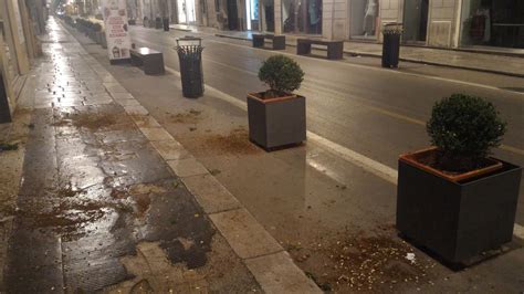 Raid Vandalico Nella Notte In Via Maqueda Sradicati Arbusti Dai Vasi