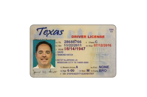 Texas Drivers License Template Download