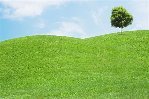 Digitally Generated Image Of Grassy Hills And Tree Digital Art By Reb