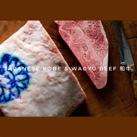 kg fresh japanese  wagyu sirloin rev comps