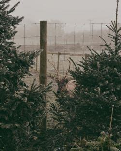 Hot Chocolate On Tumblr