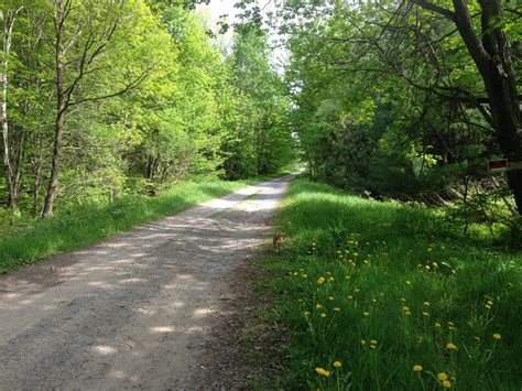 Free Images Landscape Tree Nature Forest Path Grass Outdoor