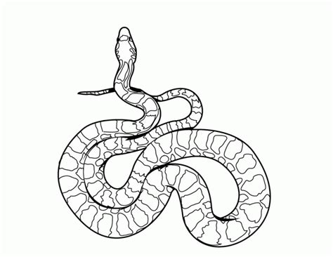 Rattlesnake Coloring Page Coloring Home