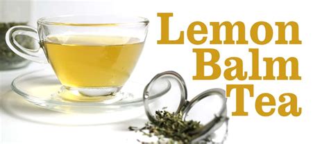 Lemon Balm Tea Benefits | Tea-and-Coffee.com