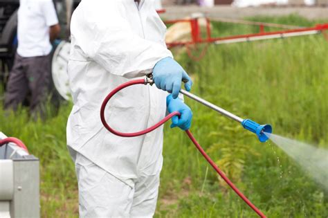 How Much Does Pest Control Cost In Melbourne A1 Pest And Weed Control