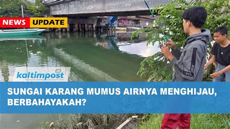 Sungai Karang Mumus Airnya Menghijau Berbahayakah Youtube