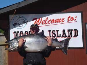 Nootka Island Lodge BC | Northwest Seaplanes | Flights from Seattle