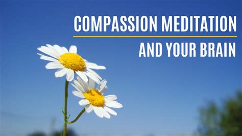 Compassion Meditation How It Affects Our Brains Inner Light Publishers