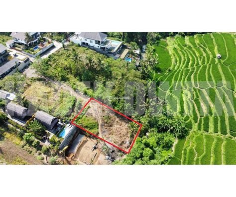 Dijual Tanah Luas M Ubud Los Sungai View Sawah Lingkungan Villa Di