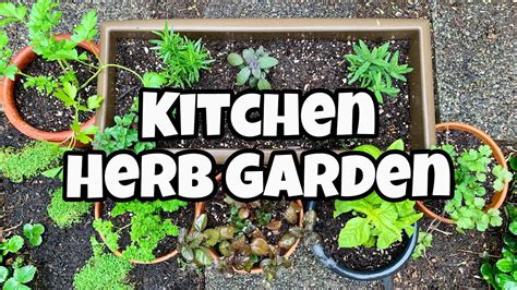 Easy Herb Gardening For Beginners Beginners Growing Herbs Pots Garden