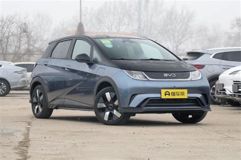 Byd Dolphin 2024 Glory Edition 401km Knight Edition Pure Electric High