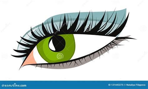 Female Green Eye Stock Vector Illustration Of Vector 131443275