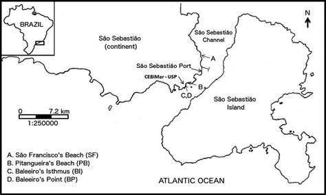 SciELO Brasil Structure And Composition Of Fish Assemblages From