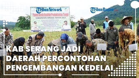 Kabupaten Serang Jadi Daerah Percontohan Pengembangan Kedelai Diberi