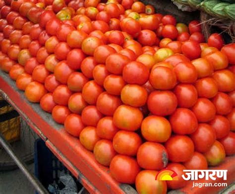 Tomato Price Hike टमाटर ने छुड़ाए लोगों के पसीने दो महीने बाद भी क्‍यों जारी है दामों में उछाल