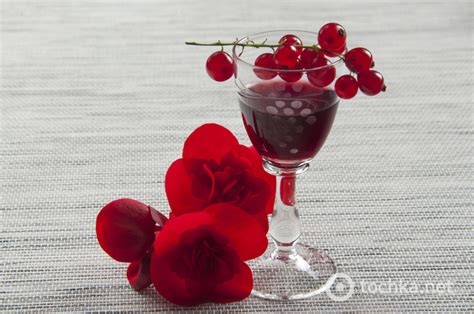 Вино из красной смородины: простой рецепт - tochka.net