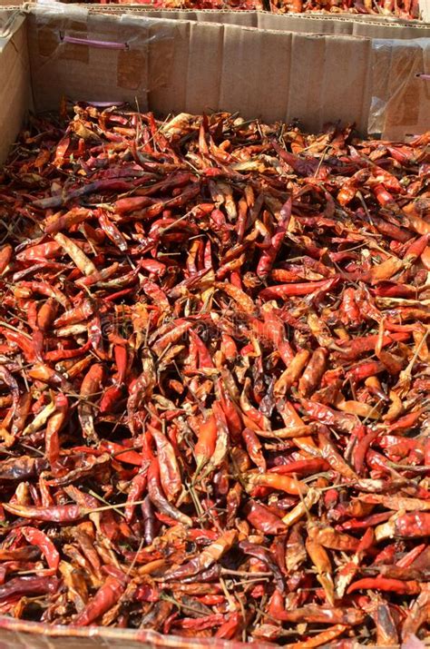 Dried Chillis On Market In Bangkok Thailand Spices Hot Red Stock Image Image Of Chilly