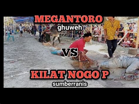 Full B Megantoro Vs Kilat Nogo P Lomba Tarik Tambang Hut Ri Ke