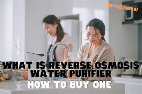 What Is Reverse Osmosis Water Purification System and How to Buy One ...