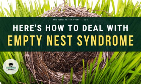 Heres How To Deal With Empty Nest Syndrome The Scholarship System