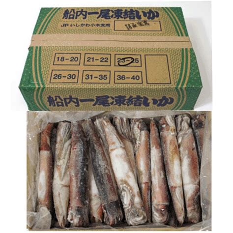 Frozen Squid IQF - Surume Ika | Tokai Denpun USA