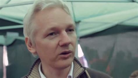 Julian Assange To Plead Guilty In Deal With Us Authorities Insider Paper