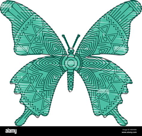 Pages De Coloriage Design Papillon Banque Dimages Vectorielles Alamy