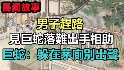 民間故事合集：男子趕路，見巨蛇落難出手相助，巨蛇：躲在茅廁別出聲 Youtube