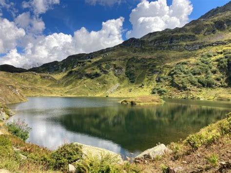 2023 Best 10 Wild Flowers Trails in Réserve naturelle de Passy AllTrails