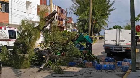 Repartidor de agua muere aplastado por un árbol