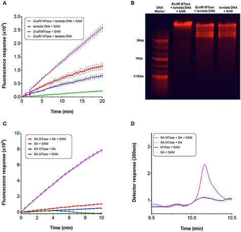 Frontiers Hydrogen Peroxide Based Fluorometric Assay For Real Time