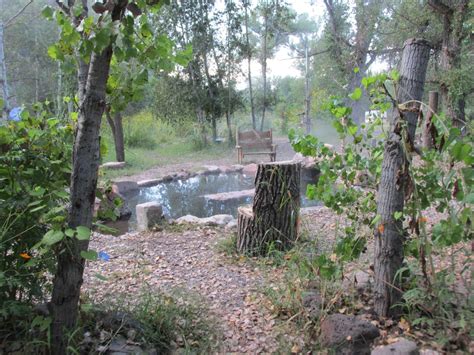 Gila Hot Springs Campground – Camping and hot springs up in the ...