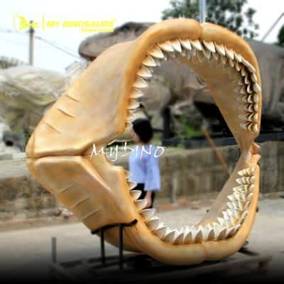 Museum Replica Megalodon Shark Jaw Skeleton for Sale | MyDinosaurs