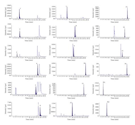 Typical Chromatograms Of Lcmsms For Analytes And Internal Standards Download Scientific