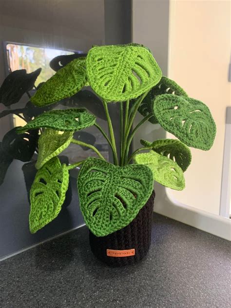 Made To Order Crochet Monstera Plant Monstera Plant Crochet Plant