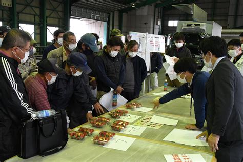 イチゴ初出荷に合わせ規格確認 Ja北つくば